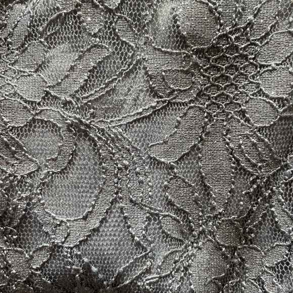 Nightway full length, silver lace and tulle evening or event dress Size 6 - Picture 7 of 7